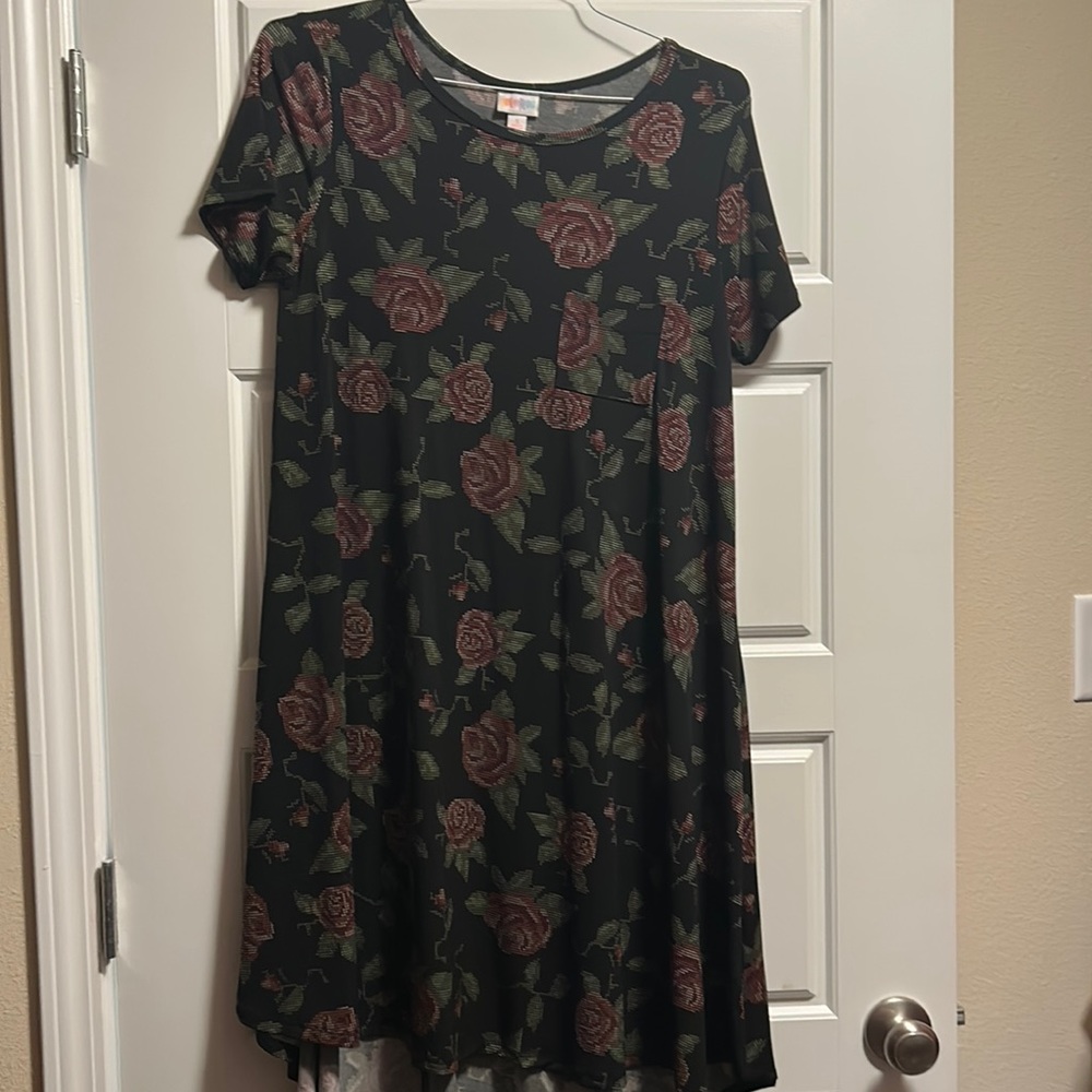 VGUC lularoe Carly dress